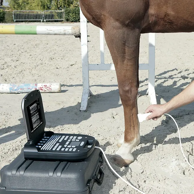 ECHO PATTE CHEVAL XH4Z9483