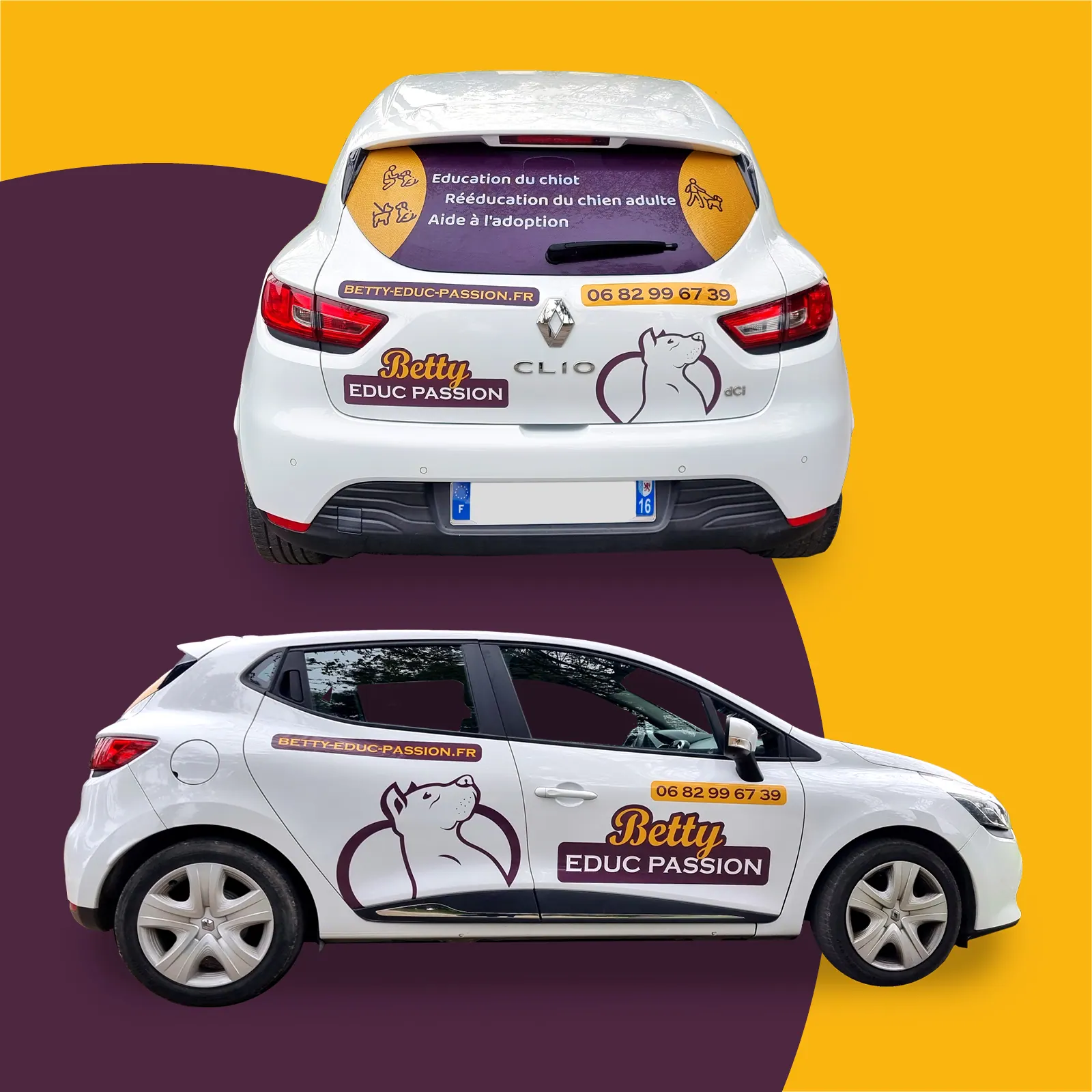Habillage voiture