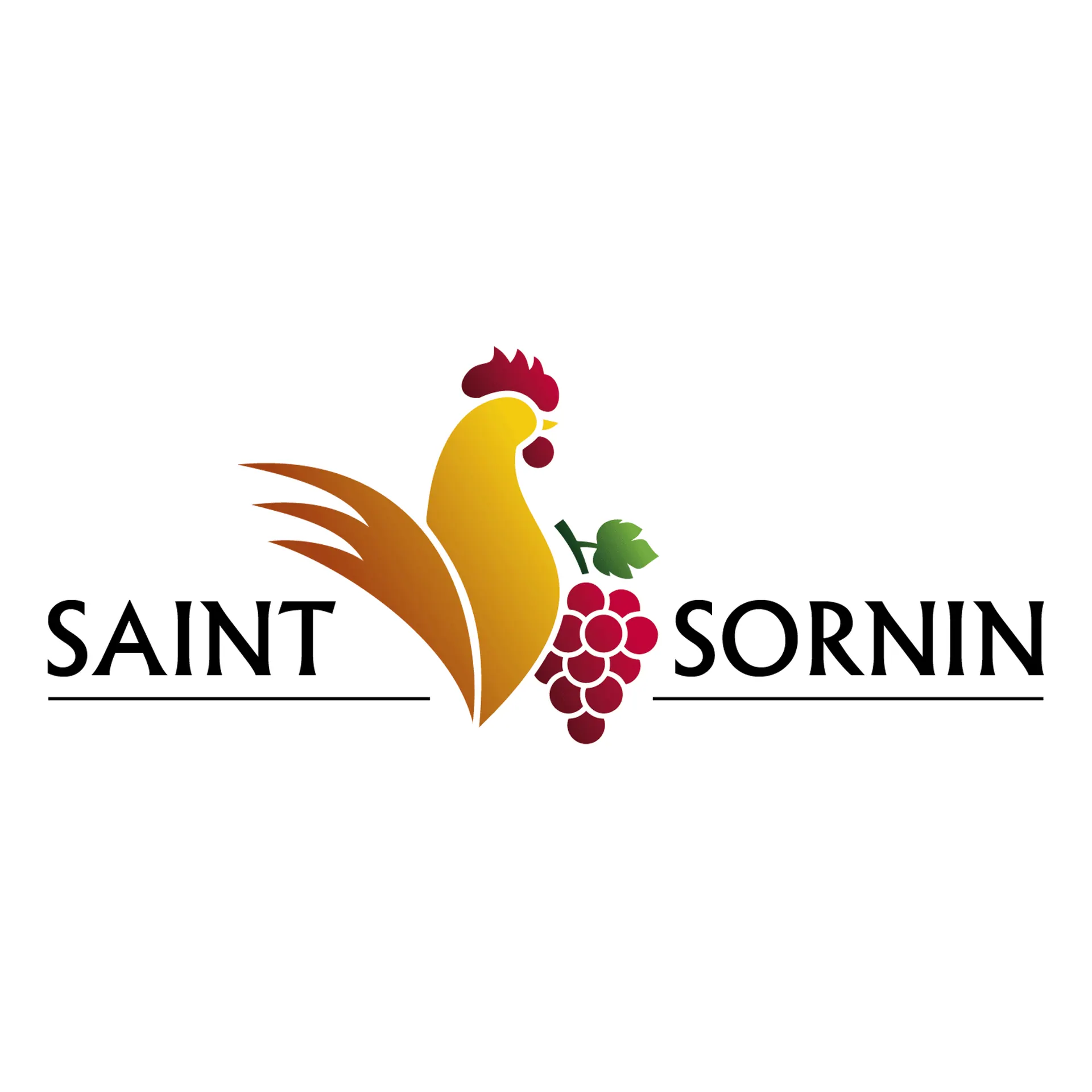 Logo saintsornin